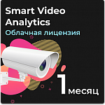 Облачная лицензия Smart Video Analytics на 1 месяц