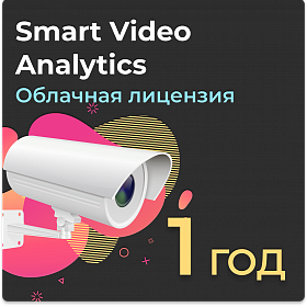 Облачная лицензия Smart Video Analytics на 1 год