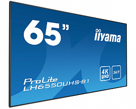 Информационный дисплей Iiyama LH6550UHS-B1