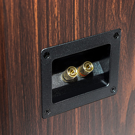Radiotehnika Alfa 1.02 MKII  Walnut - напольная 2х полосная акустика